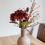 Seenah Apartments, Komfort Mit Einkaufsmoeglichkeiten & Parkplatz アパート バート・ツヴィッシェンアーン